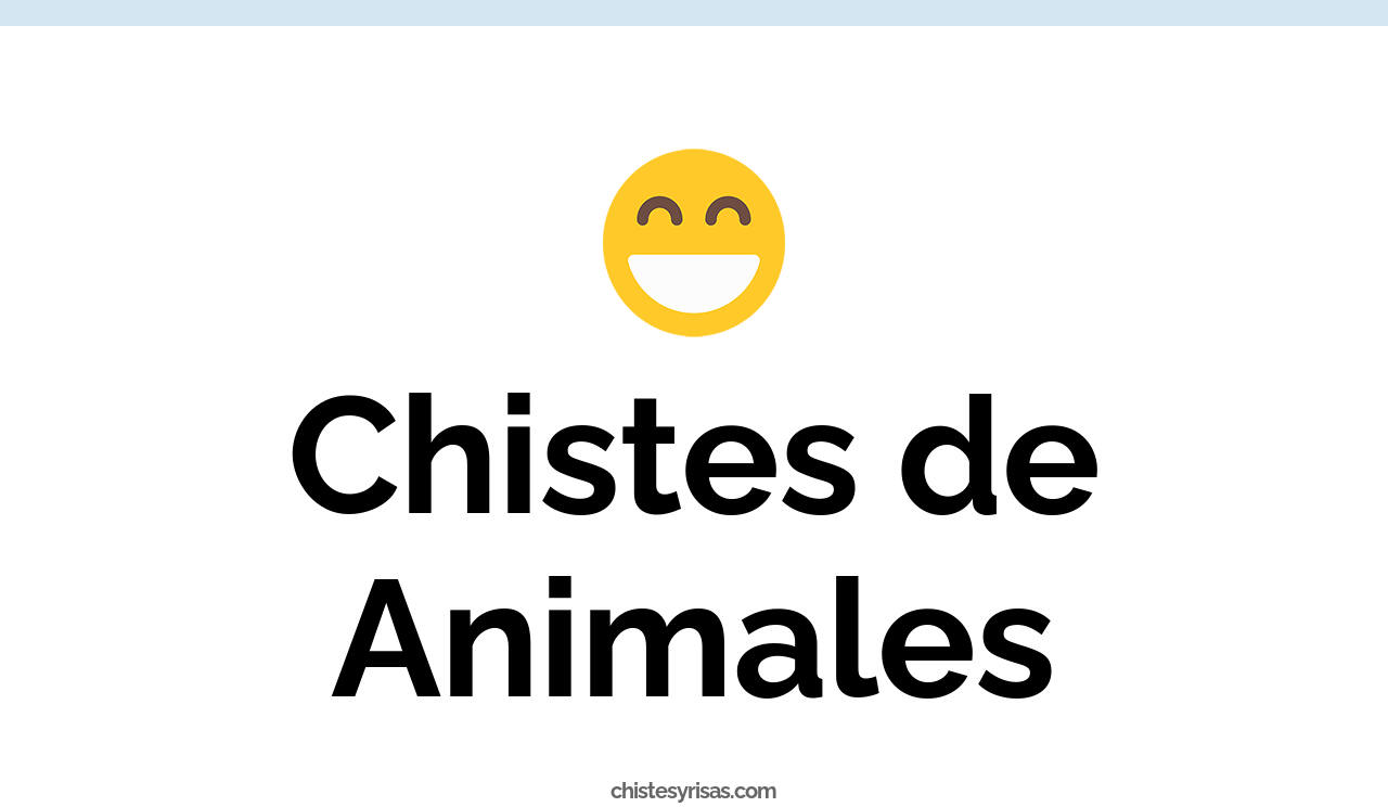 chistes de animales