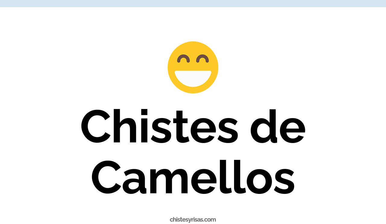 chistes de camellos