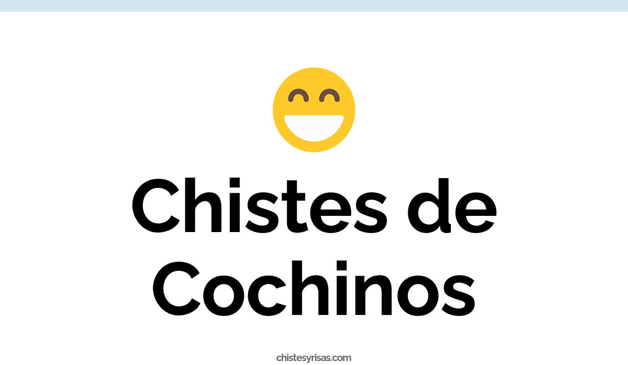 chistes de cochinos