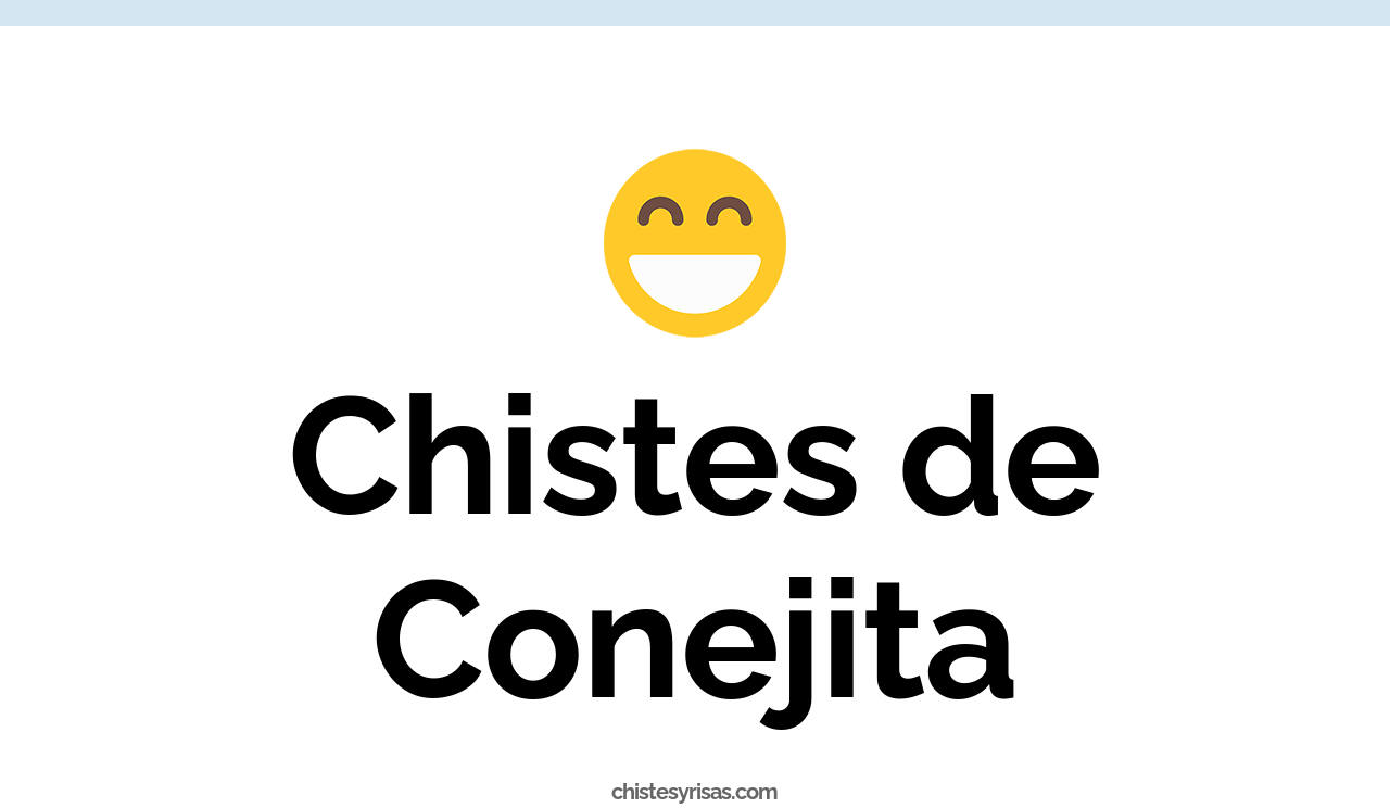 chistes de conejita