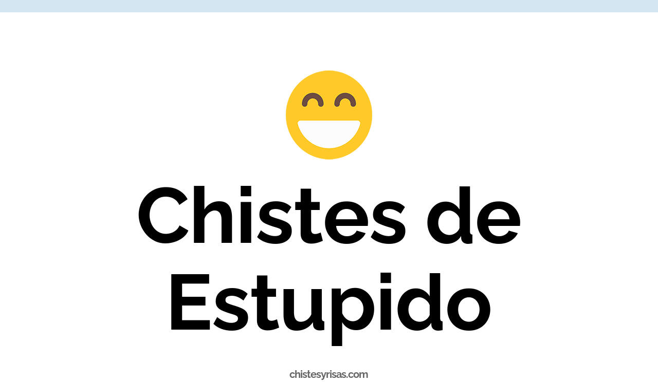 chistes de estupido