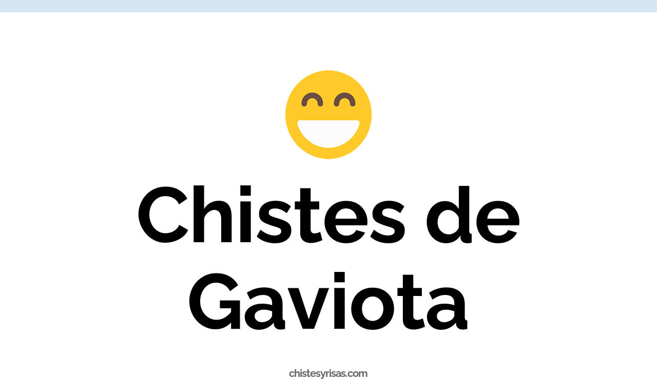 chistes de gaviota