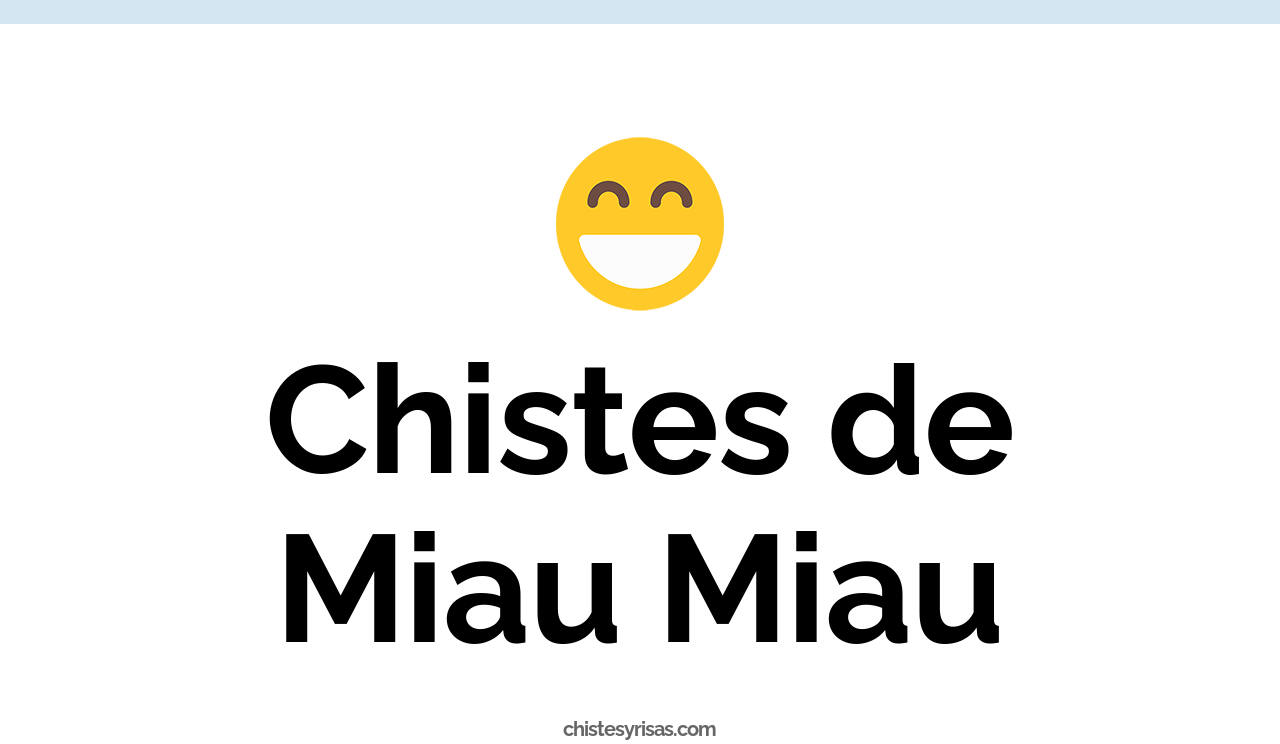 chistes de miau miau