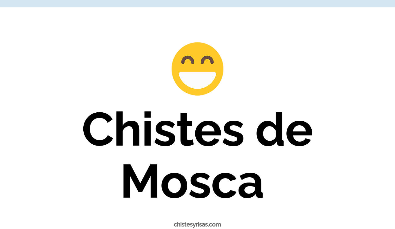 chistes de mosca