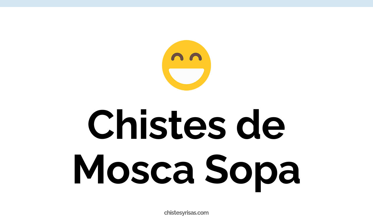chistes de mosca sopa