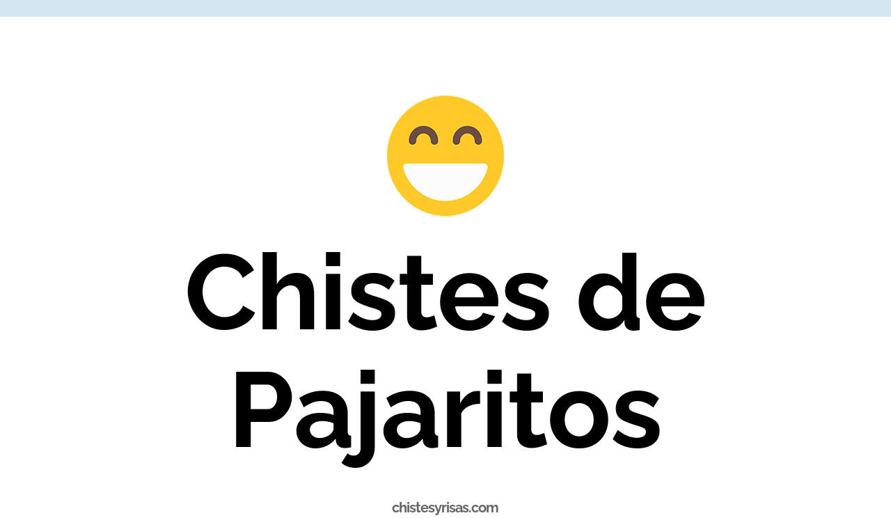 chistes de pajaritos
