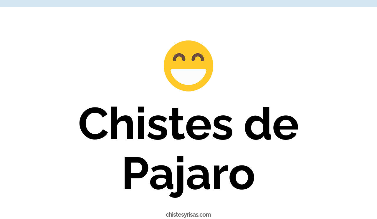 chistes de pájaro