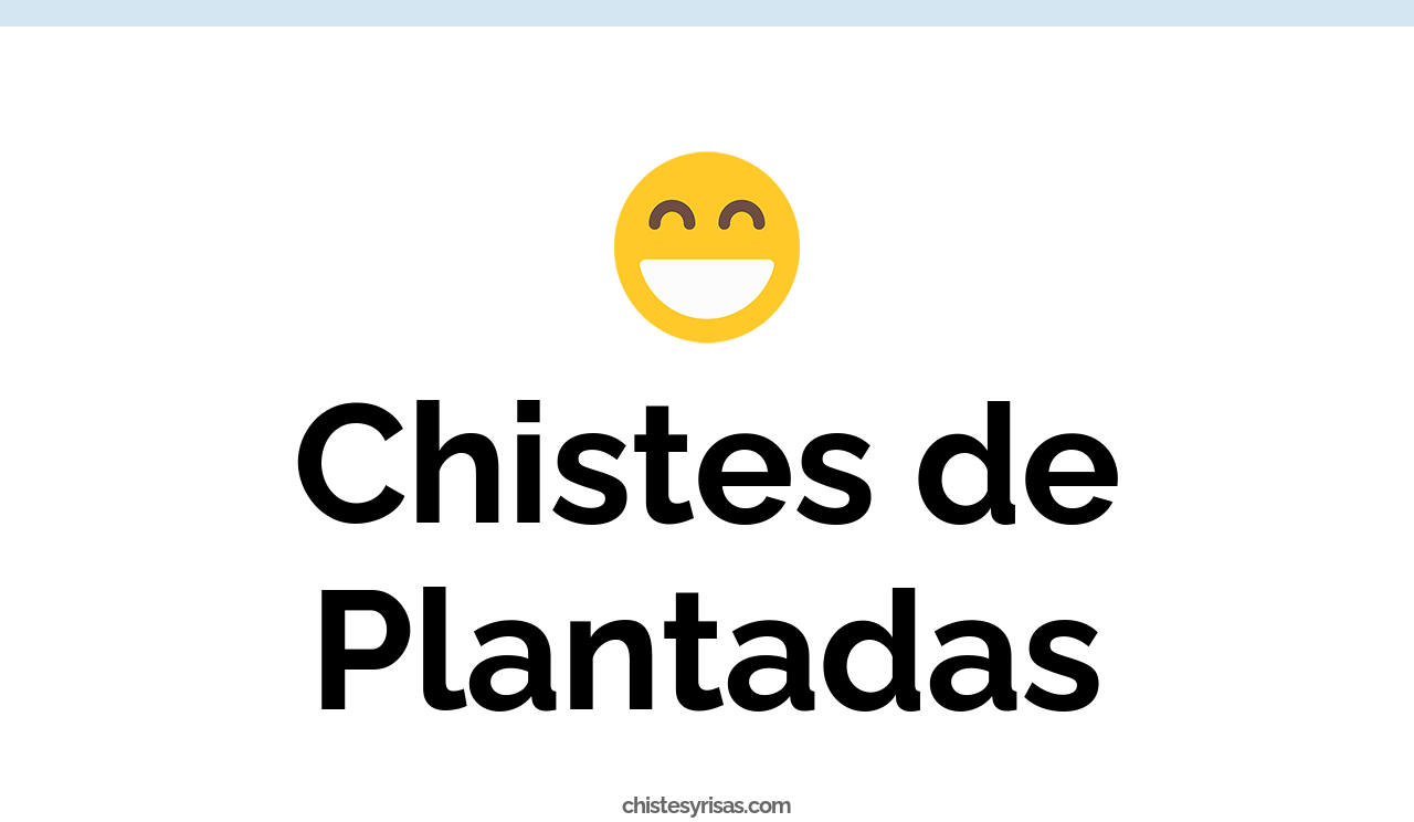 chistes de plantadas