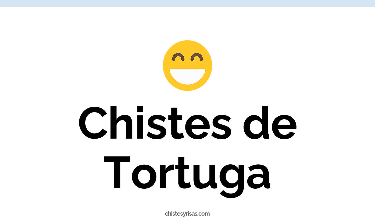 chistes de tortuga