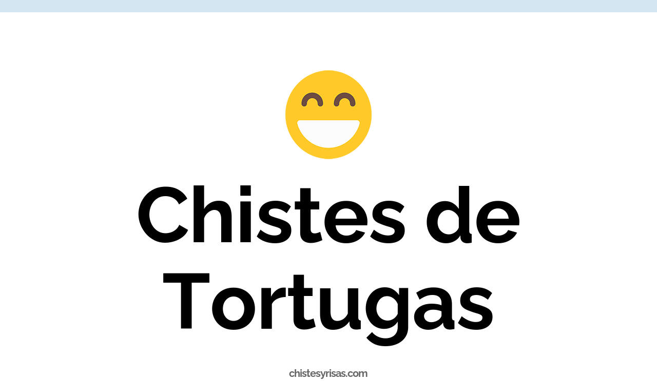 chistes de tortugas